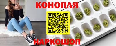 трава Краснодар