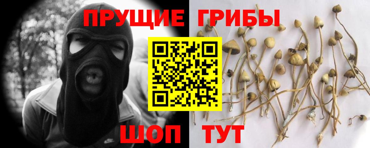 Клин  Псилоцибиновые грибы Magic Shrooms  Псилоцибиновые грибы MAGIC MUSHROOMS  Вход с VPN 